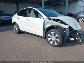  Salvage Tesla Model Y