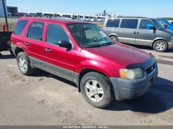  Salvage Ford Escape