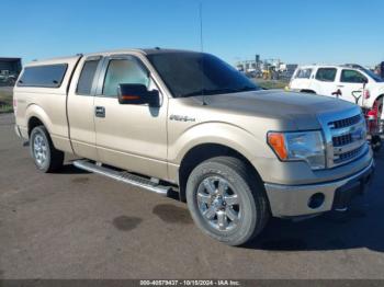  Salvage Ford F-150