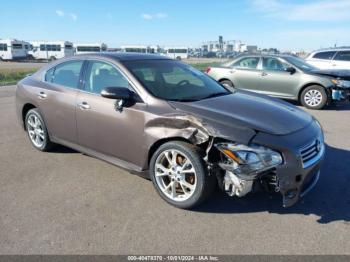  Salvage Nissan Maxima