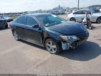  Salvage Toyota Camry