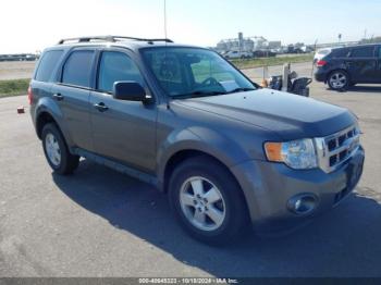  Salvage Ford Escape