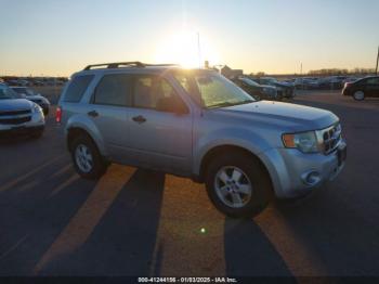  Salvage Ford Escape