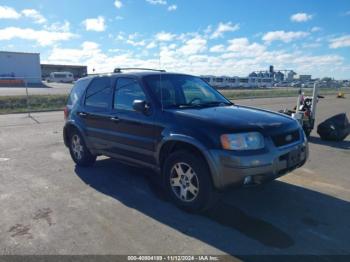  Salvage Ford Escape