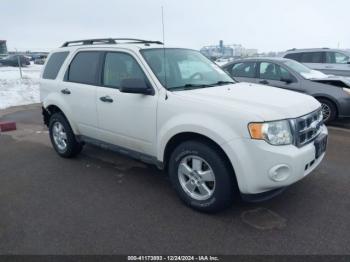  Salvage Ford Escape