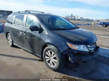  Salvage Honda Odyssey