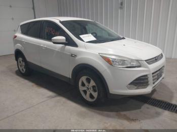  Salvage Ford Escape
