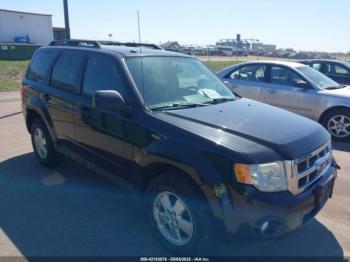  Salvage Ford Escape