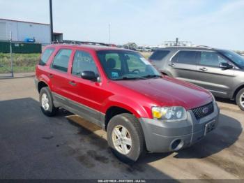  Salvage Ford Escape