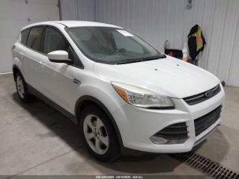  Salvage Ford Escape