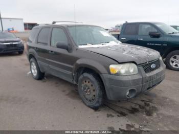  Salvage Ford Escape
