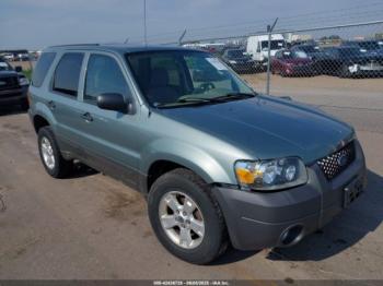  Salvage Ford Escape