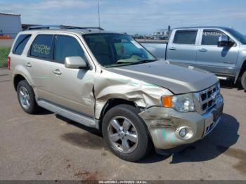  Salvage Ford Escape