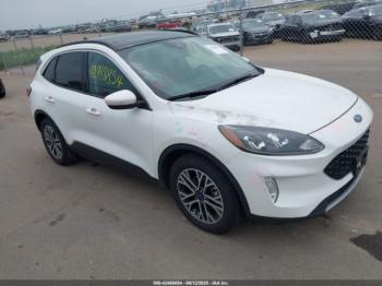  Salvage Ford Escape