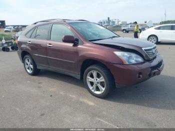  Salvage Lexus RX
