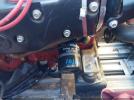 Crestliner Sport Fish Image 7
