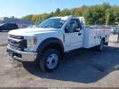 Ford F-550 Xl Image 3
