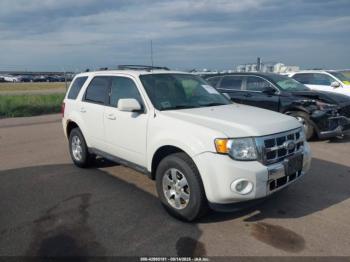  Salvage Ford Escape