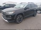 Toyota RAV4 Adventure Image 2