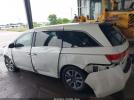 Honda Odyssey Image 5