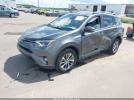 Toyota RAV4 Xle Image 3
