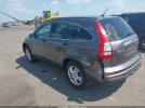 Honda CR-V Ex Image 6