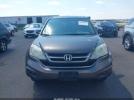 Honda CR-V Ex Image 2