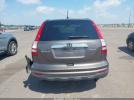 Honda CR-V Ex Image 3