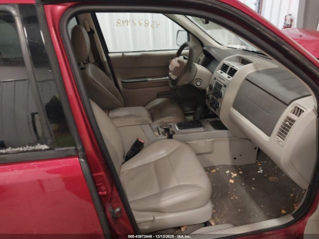 Ford Escape Xlt Image 6