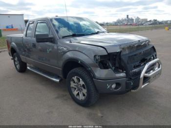  Salvage Ford F-150