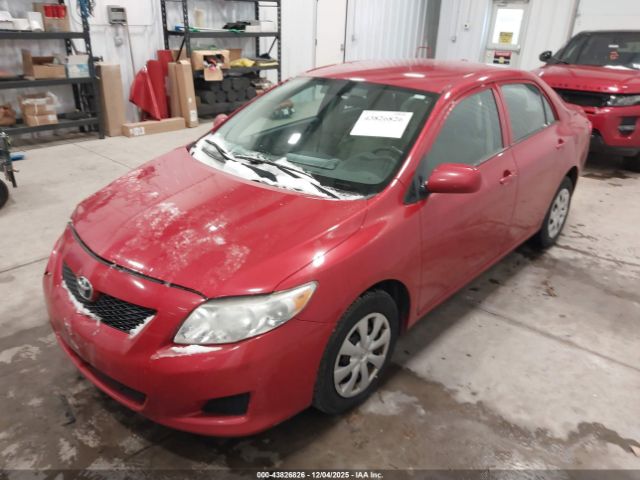 Toyota Corolla Le Image 11