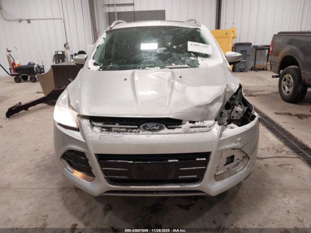 Ford Escape Titanium Image 9