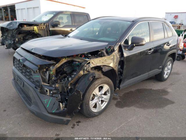 Toyota RAV4 Xle Image 4