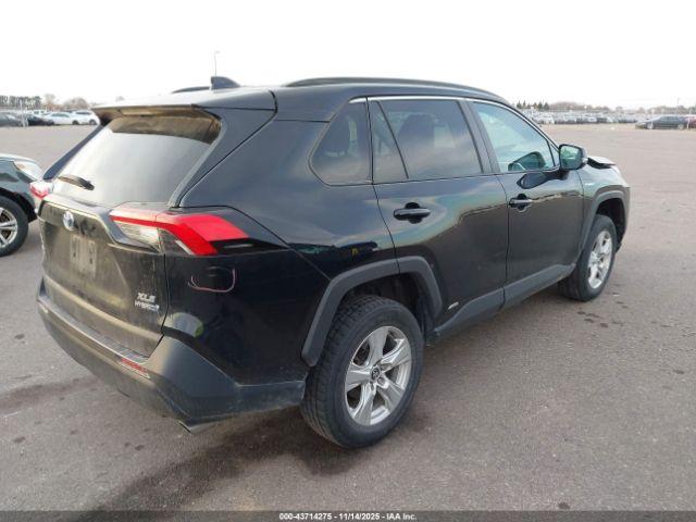 Toyota RAV4 Xle Image 5