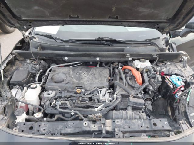 Toyota RAV4 Xle Image 6