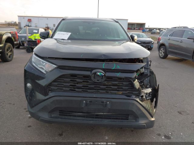 Toyota RAV4 Xle Image 11