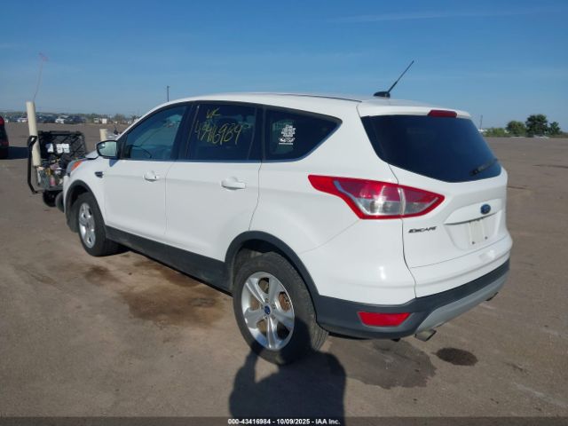 Ford Escape Se Image 8