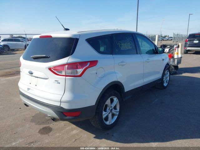 Ford Escape Se Image 14