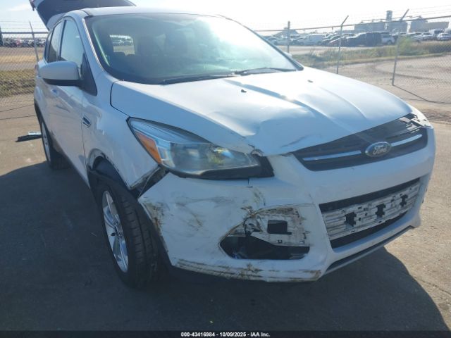 Ford Escape Se Image 4