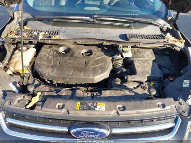 Ford Escape Titanium Image 7