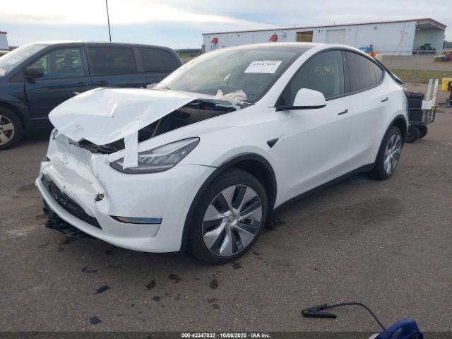 Tesla Model Y Image 5