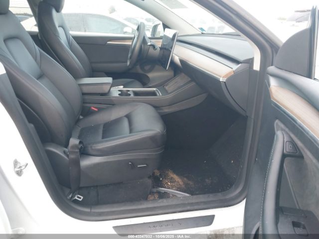 Tesla Model Y Image 6