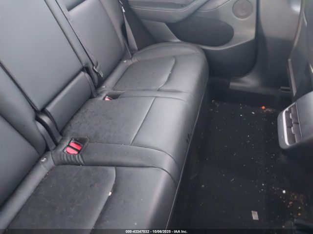 Tesla Model Y Image 12