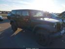 Jeep Wrangler Black Bear Image 1