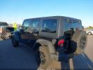 Jeep Wrangler Black Bear Image 3