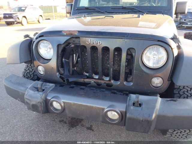 Jeep Wrangler Black Bear Image 7