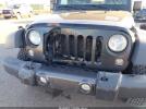 Jeep Wrangler Black Bear Image 7