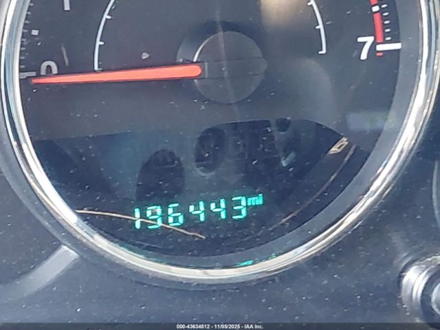 Jeep Wrangler Black Bear Image 12