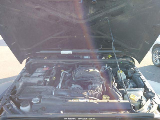 Jeep Wrangler Black Bear Image 10