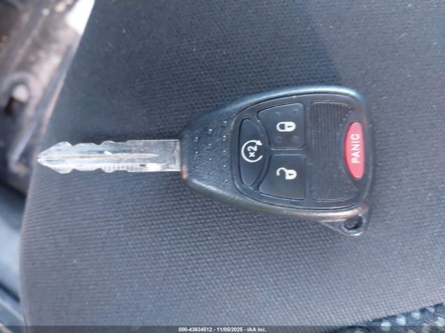 Jeep Wrangler Black Bear Image 14